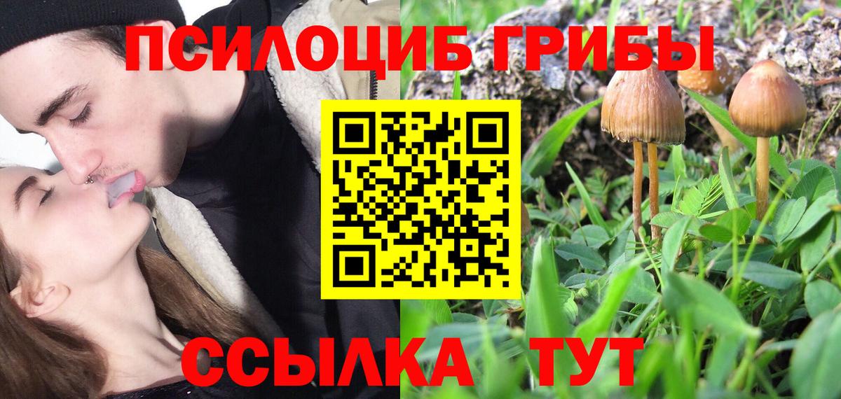 Псилоцибиновые грибы ЛСД Рыбинск