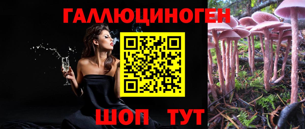 Рыбинск  Псилоцибиновые грибы ЛСД  Вход с VPN 